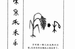汉字的演变过程顺序,从甲骨文到简化字