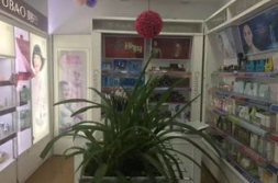 盗摄美容院私密保健,揭秘私密保健背后的秘密